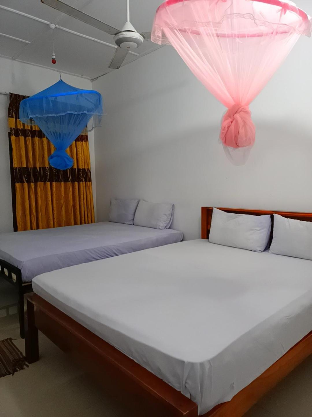 Pranu House Homestay *