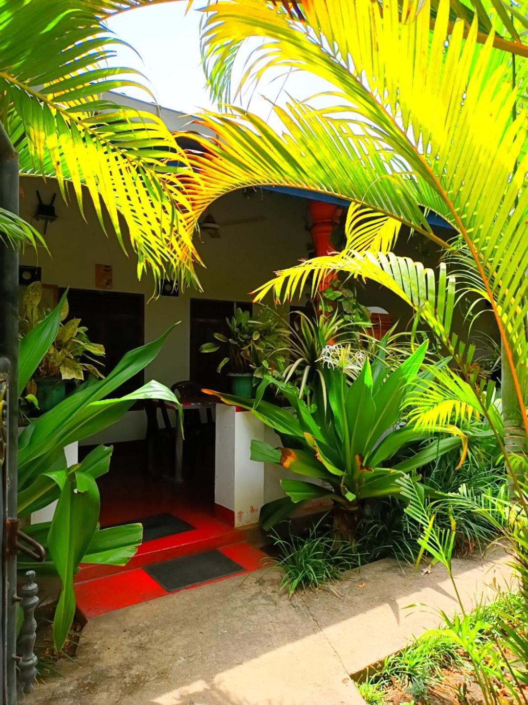 Homestay Pranu House *